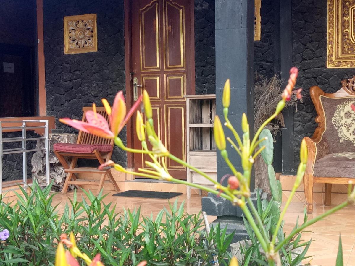 Bunbulan Hill And Hostel