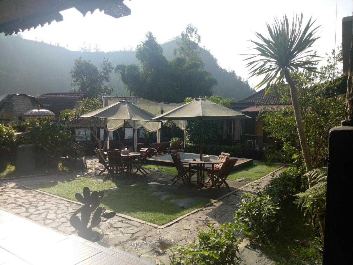 Bunbulan Hill And * Kintamani (Bali)